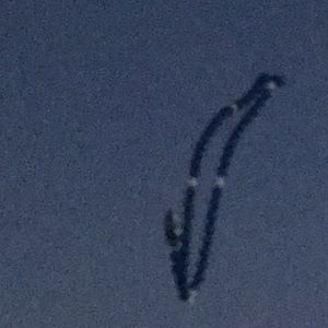 Meet your Posher, Patsy